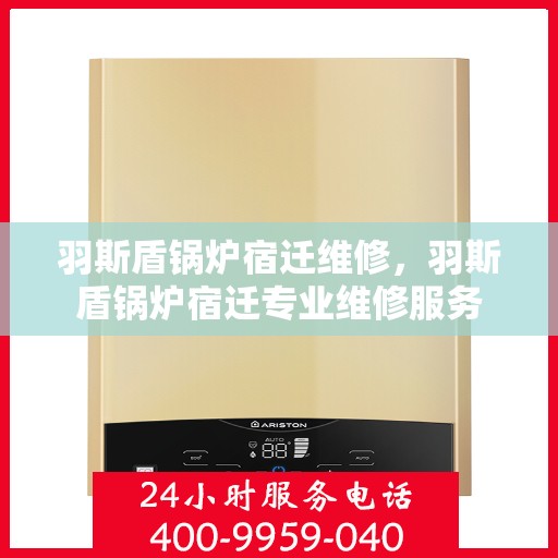 羽斯盾锅炉宿迁维修，羽斯盾锅炉宿迁专业维修服务