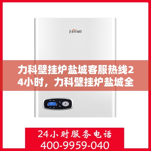 力科壁挂炉盐城客服热线24小时，力科壁挂炉盐城全天候客服热线，贴心服务随时在线