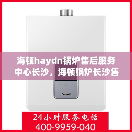 海顿haydn锅炉售后服务中心长沙，海顿锅炉长沙售后服务中心，专业维修，贴心服务