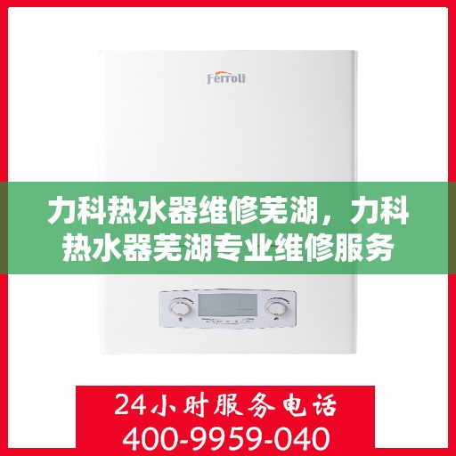 力科热水器维修芜湖，力科热水器芜湖专业维修服务