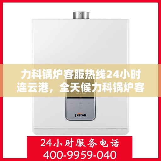 力科锅炉客服热线24小时连云港，全天候力科锅炉客服热线，连云港地区服务不打烊