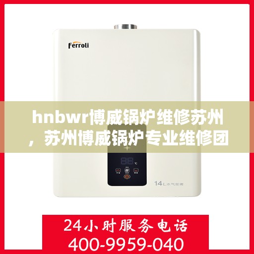 hnbwr博威锅炉维修苏州，苏州博威锅炉专业维修团队