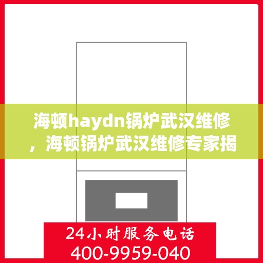 海顿haydn锅炉武汉维修，海顿锅炉武汉维修专家揭秘，专业维修技巧与服务质量解析